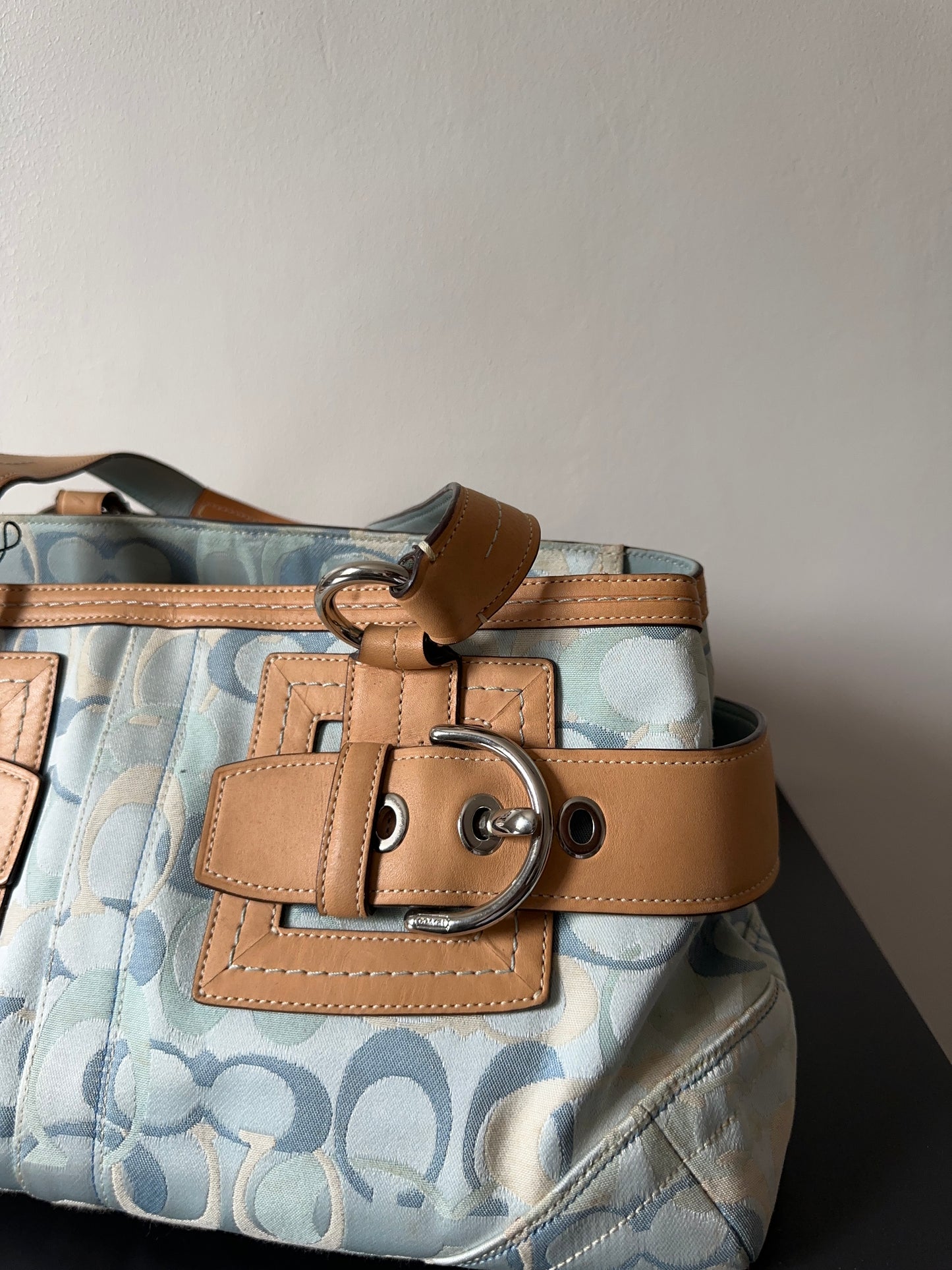 Coach Signature Blue Ladies Bag