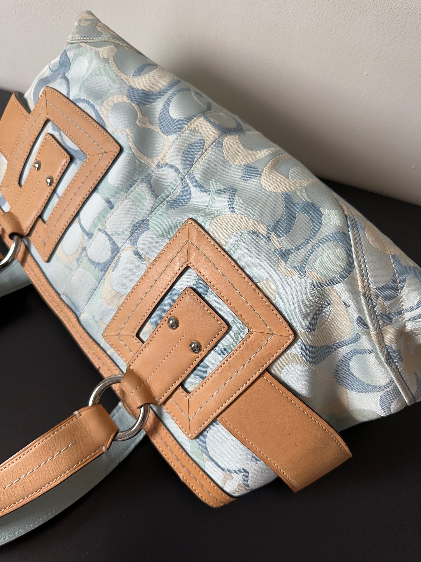 Coach Signature Blue Ladies Bag