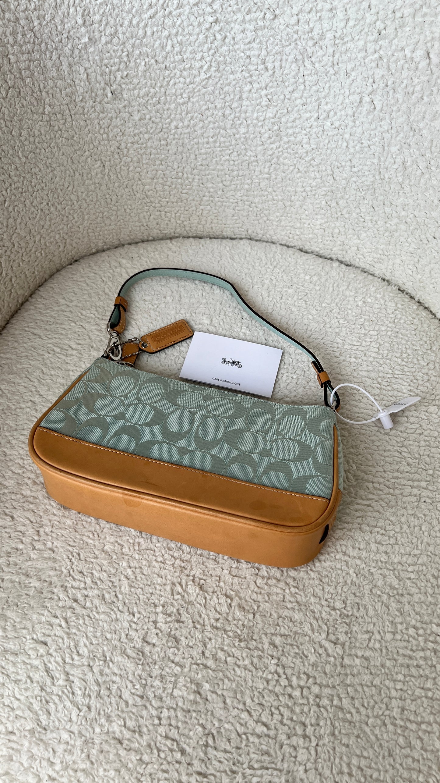 Coach Signature Demi Pochette in Light Blue