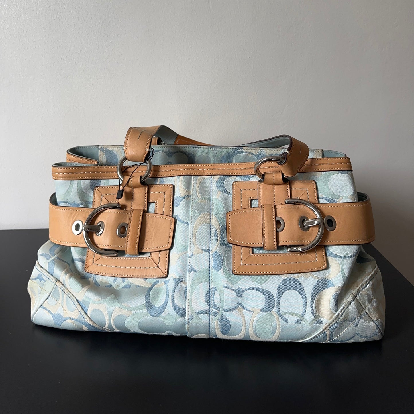 Coach Signature Blue Ladies Bag