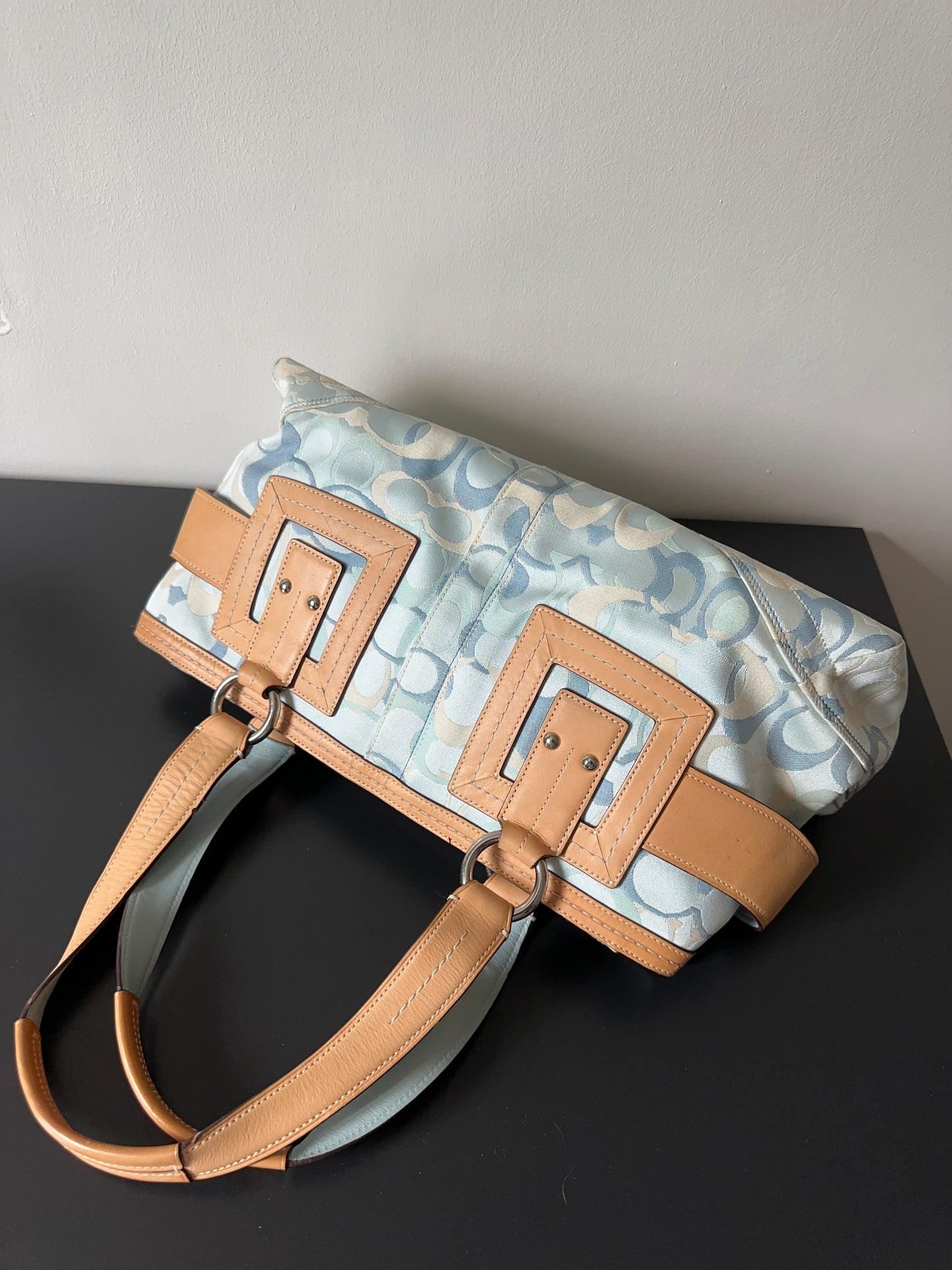 Coach Signature Blue Ladies Bag