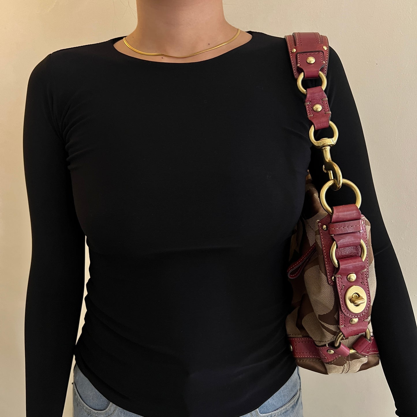 Coach Signature Hobo Bag
